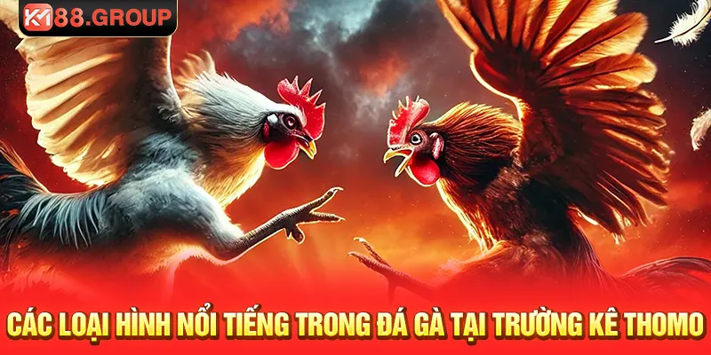 Các loại hình nổi tiếng trong đá gà tại trường kê thomo