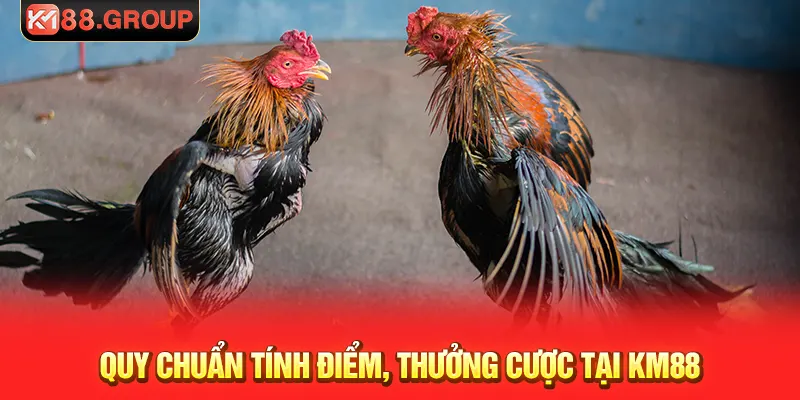 Quy chuẩn tính điểm, thưởng cược tại KM88